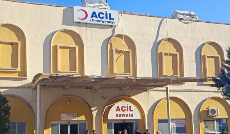 Mardin’de otomobilin çarptığı kadın, yaşamını yitirdi