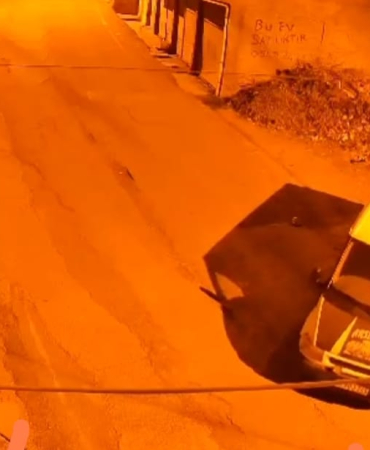 WhatsApp Image 2025-03-07 at 11.32.32 (1)