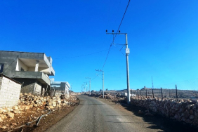 WhatsApp Image 2025-03-12 at 15.18.47