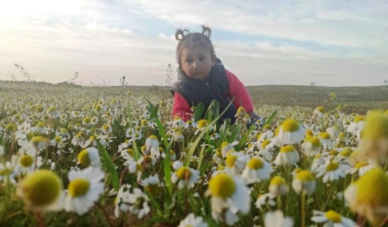 Mardin’de aracın çarptığı minik Zeynep, hayatını kaybetti