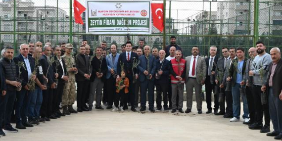 mardin nusaybin