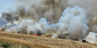 WhatsApp-Gorsel-2025-06-16-saat-11.42.06_96de405a