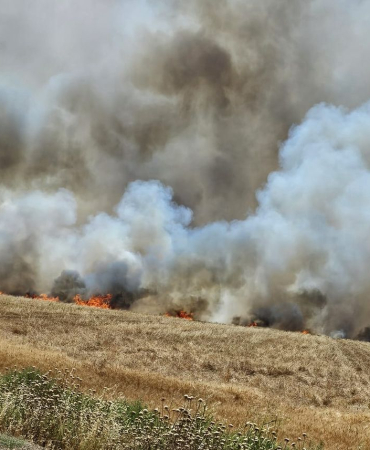 WhatsApp-Gorsel-2025-06-16-saat-11.42.06_96de405a