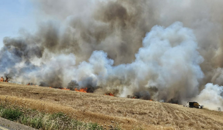 WhatsApp-Gorsel-2025-06-16-saat-11.42.06_96de405a