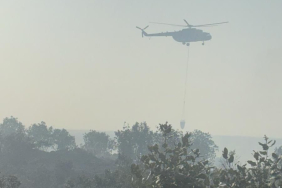 WhatsApp Image 2025-06-29 at 17.45.49