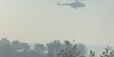 WhatsApp Image 2025-06-29 at 17.45.49