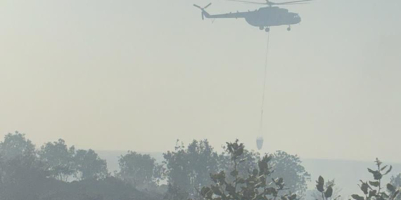 WhatsApp Image 2025-06-29 at 17.45.49