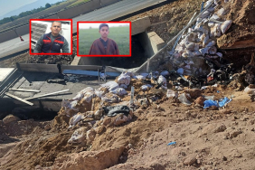 WhatsApp Image 2025-07-08 at 11.15.36