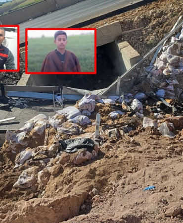 WhatsApp Image 2025-07-08 at 11.15.36