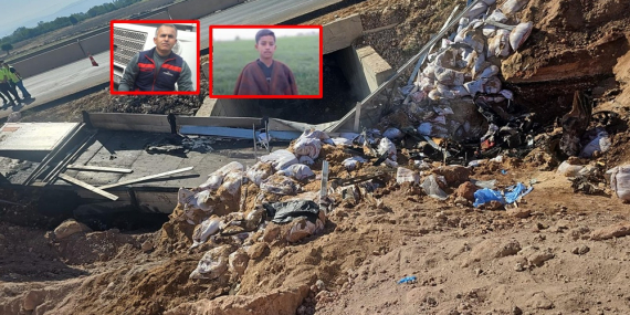 WhatsApp Image 2025-07-08 at 11.15.36