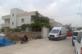 WhatsApp Image 2025-07-27 at 11.15.04