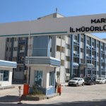 dicle elektrik