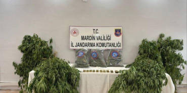 WhatsApp Image 2025-08-12 at 09.13.02