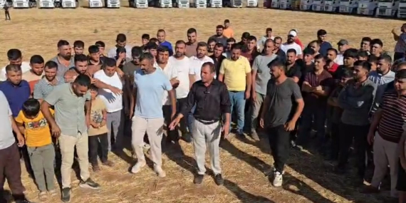 WhatsApp Image 2025-08-19 at 17.40.18