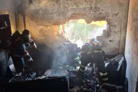 WhatsApp Image 2025-10-12 at 13.39.00