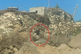 WhatsApp Image 2025-10-31 at 15.34.26