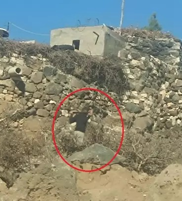 WhatsApp Image 2025-10-31 at 15.34.26