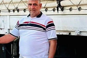 597411236_1425981946195051_7309353630560996843_n