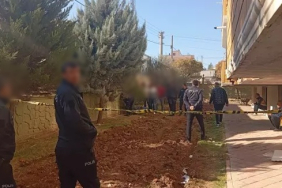 WhatsApp Image 2025-12-03 at 13.03.36