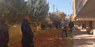 WhatsApp Image 2025-12-03 at 13.03.36