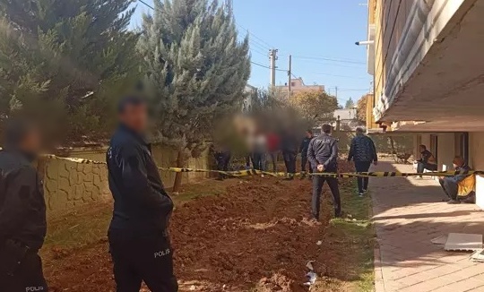 WhatsApp Image 2025-12-03 at 13.03.36