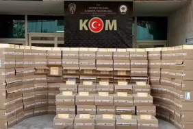 WhatsApp Image 2025-12-03 at 13.11.21