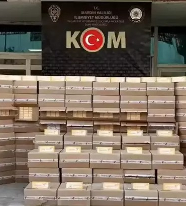 WhatsApp Image 2025-12-03 at 13.11.21