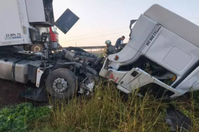 WhatsApp Image 2025-12-11 at 08.16.58 (1)