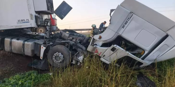 WhatsApp Image 2025-12-11 at 08.16.58 (1)