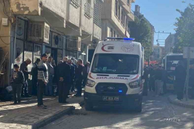 WhatsApp Image 2025-12-20 at 19.57.37