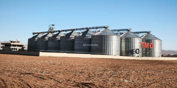 WhatsApp Image 2025-12-21 at 13.19.12 (1)