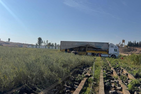 d49ba143-0529-4f8b-b4ce-0bd284f3646d