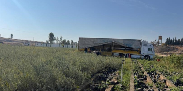 d49ba143-0529-4f8b-b4ce-0bd284f3646d