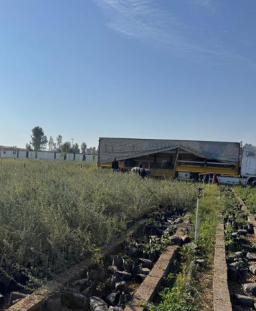 d49ba143-0529-4f8b-b4ce-0bd284f3646d