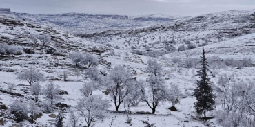 WhatsApp Image 2026-01-14 at 12.05.06