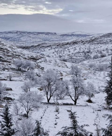 WhatsApp Image 2026-01-14 at 12.05.06