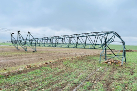 WhatsApp Image 2026-01-22 at 09.56.51