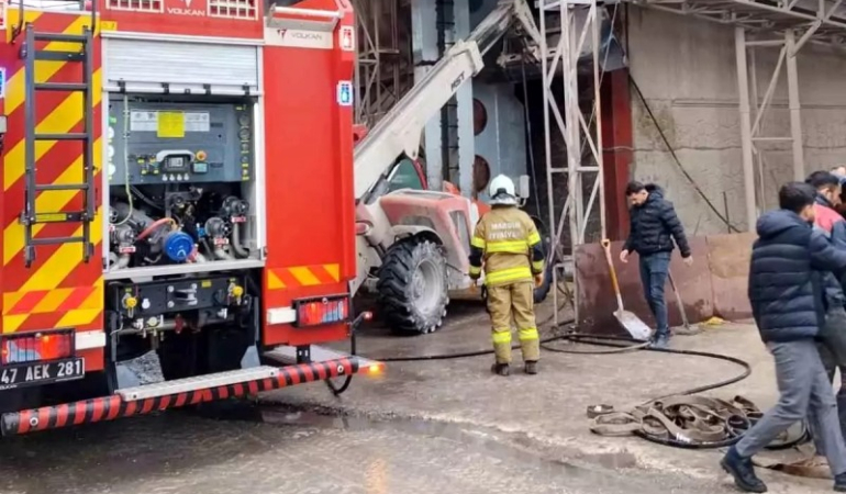 WhatsApp Image 2026-01-31 at 17.08.21