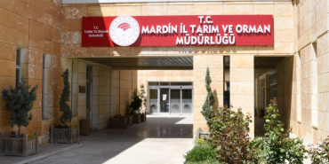 mardin taırm