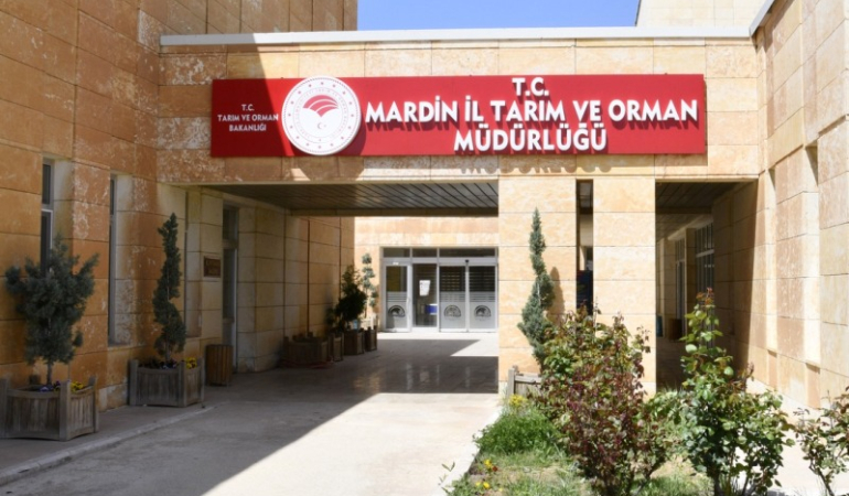 mardin taırm