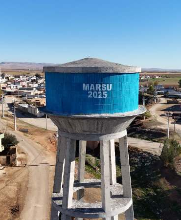 WhatsApp Image 2026-02-10 at 15.39.29