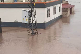 WhatsApp Image 2026-03-15 at 12.45.34