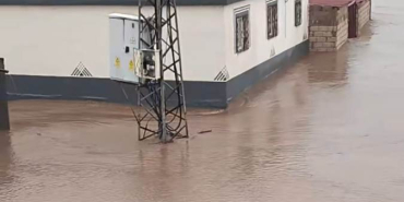 WhatsApp Image 2026-03-15 at 12.45.34