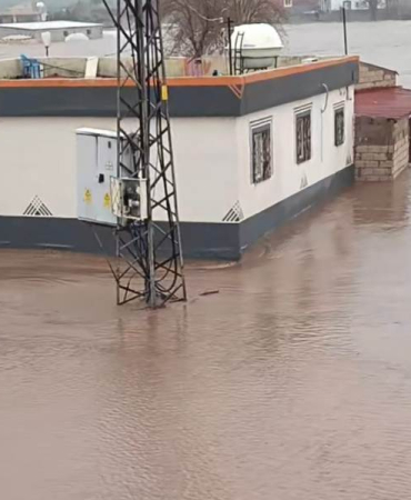 WhatsApp Image 2026-03-15 at 12.45.34