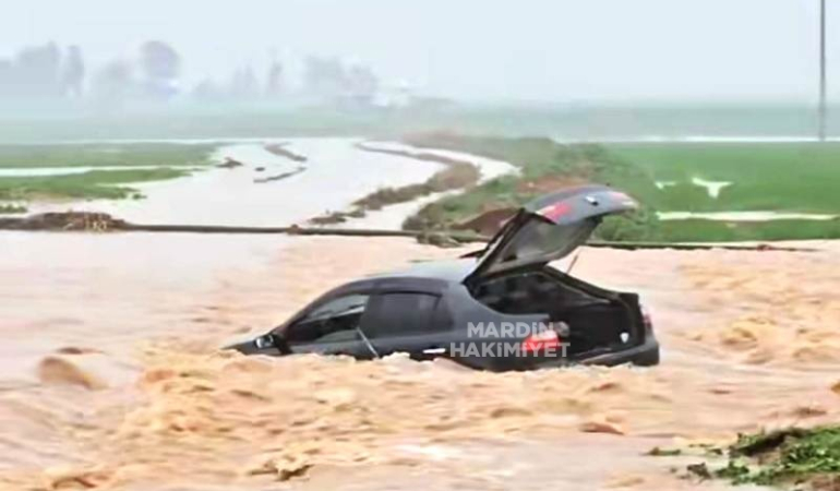 WhatsApp Image 2026-03-15 at 16.17.53