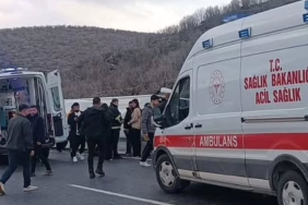 WhatsApp Image 2026-03-24 at 01.12.28