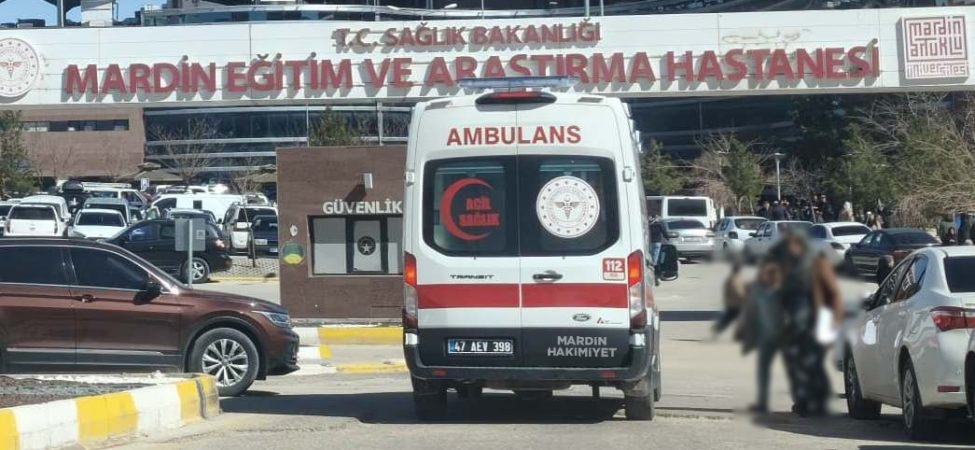 eğitim