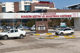 eğitim ve araştırma