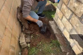 WhatsApp Image 2026-04-02 at 14.58.55