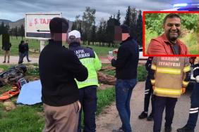 WhatsApp Image 2026-04-11 at 16.33.39